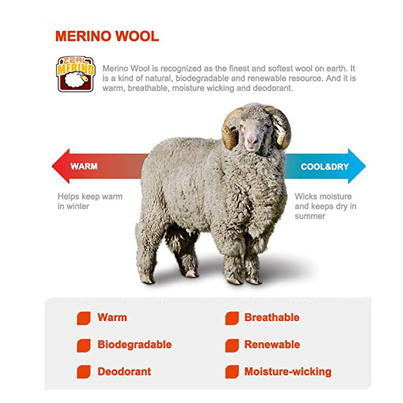 Zealwood caminhadas trekking m - Wool Hiking Sock avaliação e preço