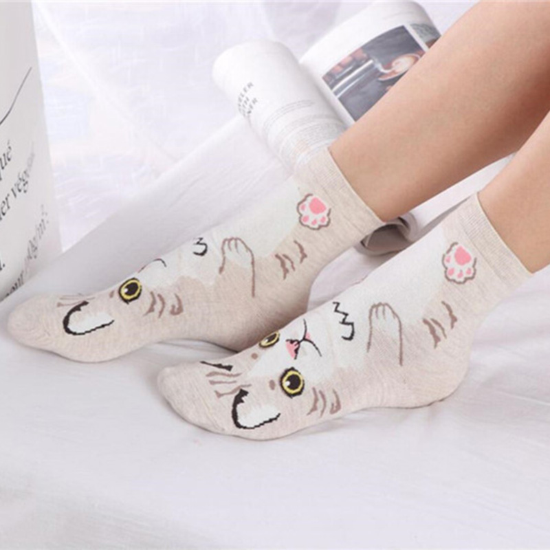 Pacote com 5 Pares de Meias Di - Cotton Crew Sock Pack avaliação e preço